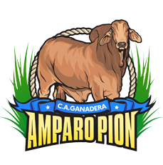 Logo-Web